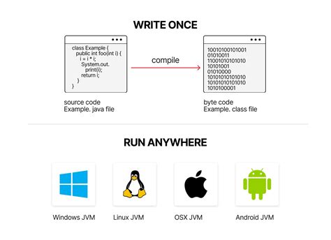 Ethereum Virtual Machine, Whale, Validator Nodes
